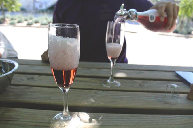 Glas med rosa cava