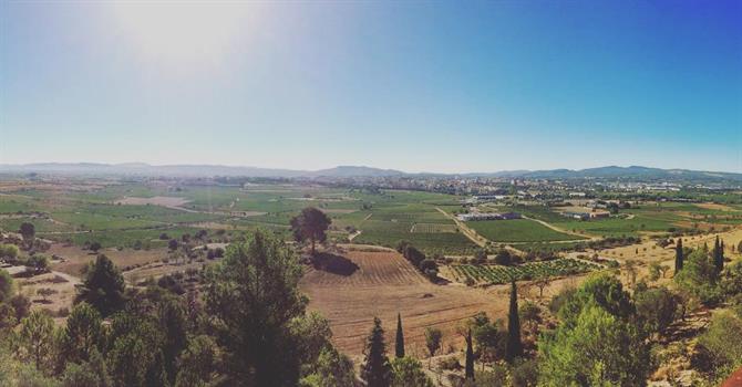 Penedes Vallei, Catalonie