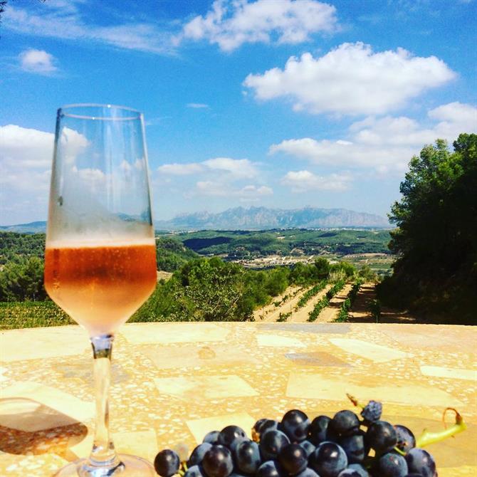 Cava in Penedès