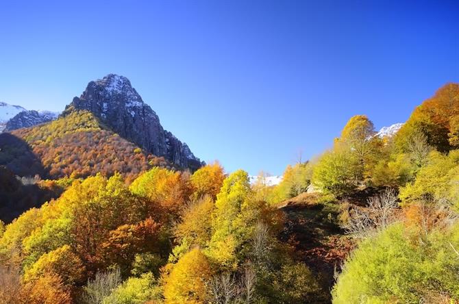 Asturias - Redes naturpark