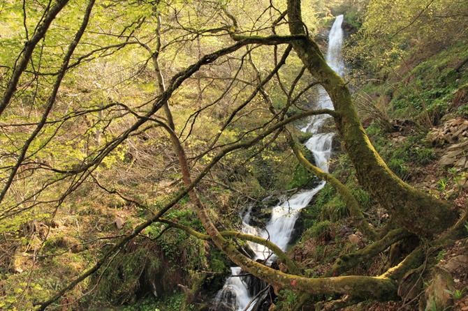 Asturias - Camino real de la mesa - Xiblu vannfallet - Teverga