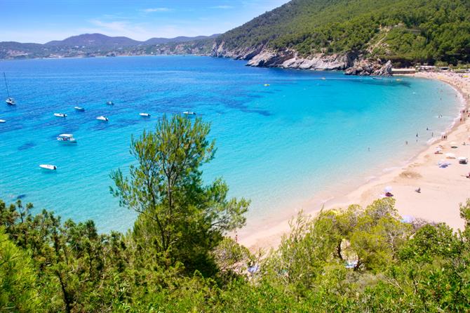 Bedste strande på Ibiza - Cala Sant Vincent