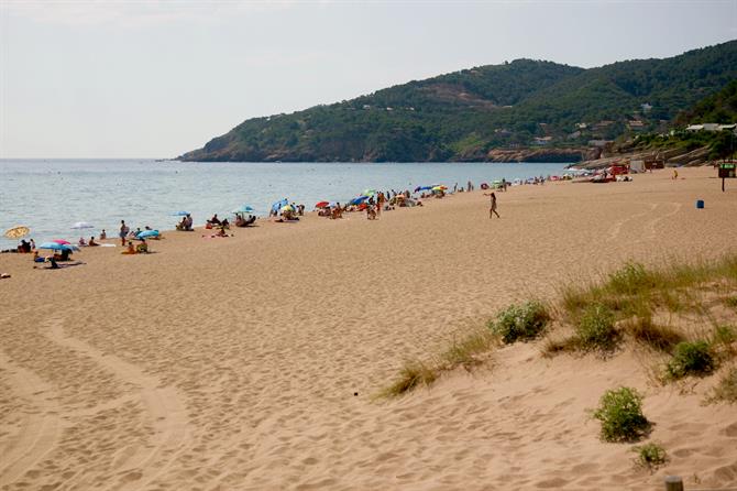 Platja de Pals