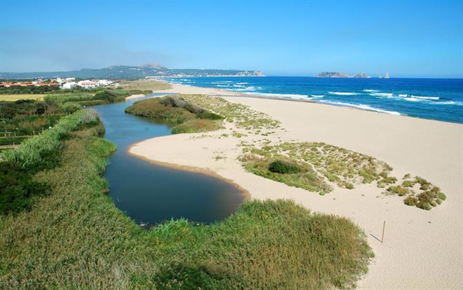 Basses d'en Coll, Platja de Pals