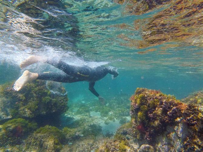 Snorkelen in Calella de Palafrugell