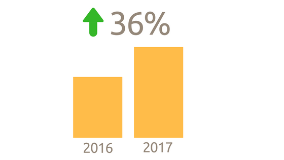 Website stats 2017