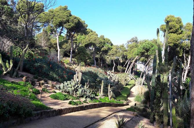 Botaniskaträdgården i Cap Roig, Calella de Palafrugell