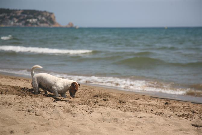 Playa Els Griells, Costa Brava