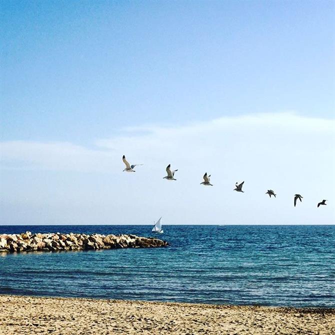 Platja de la Llosa, Costa Daurada