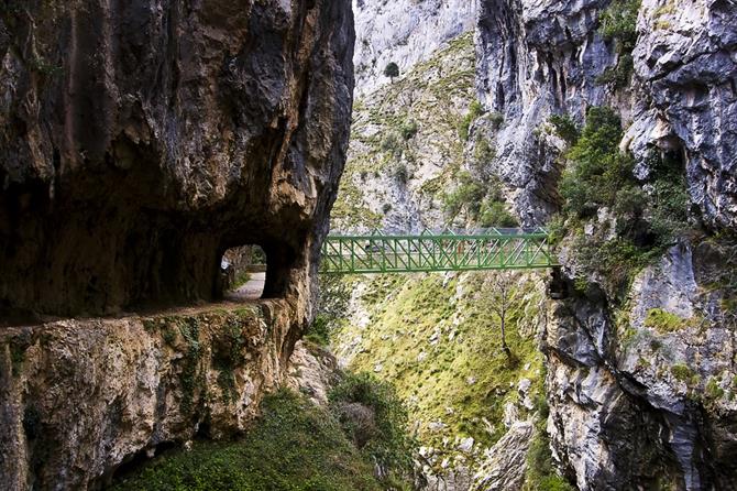 Asturies, Picos de Europa, Garganta del Cares (Espagne)