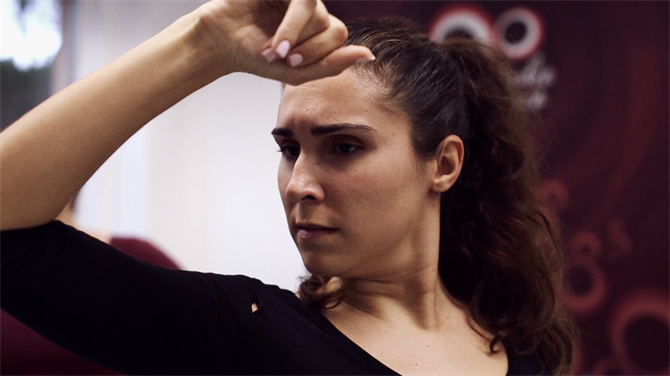 Danse Flamenco, Estudio Flamenco à Séville, Andalousie (Espagne)