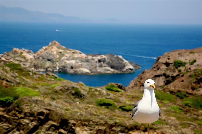 wybrzeże Cadaques