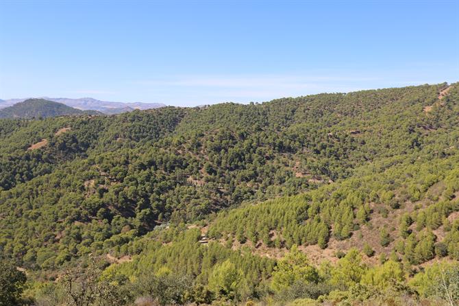 Montes de Málaga utanför Málaga