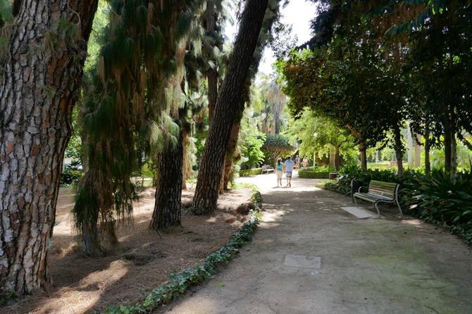 Der Stadtpark von Málaga