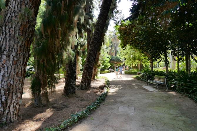 Parque de Málaga i Málaga by