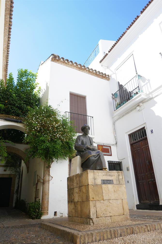 Widok na  Plaza Maimónides, Kordoba