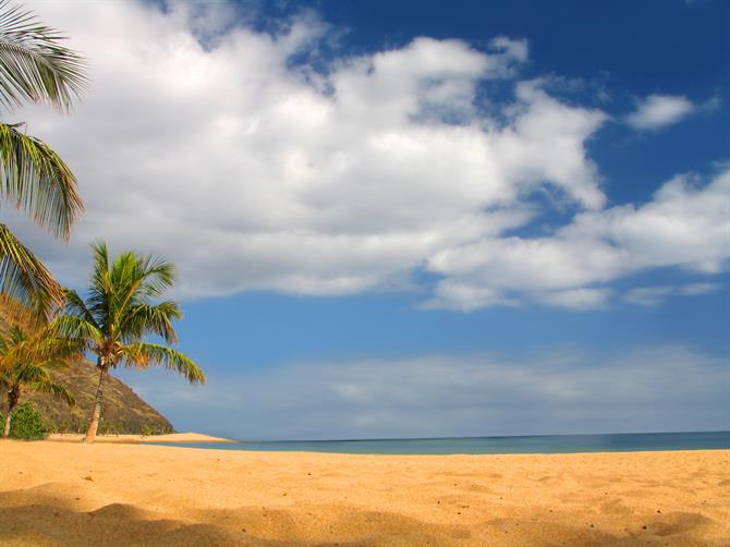 naaktstrand, Tenerife