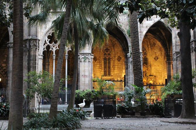 de kathedraal van Barcelona