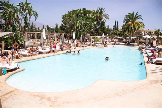 Piscina del Nao Pool Club en Marbella