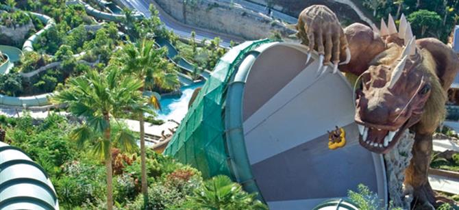 Tenerife - Siam Park - Dragen