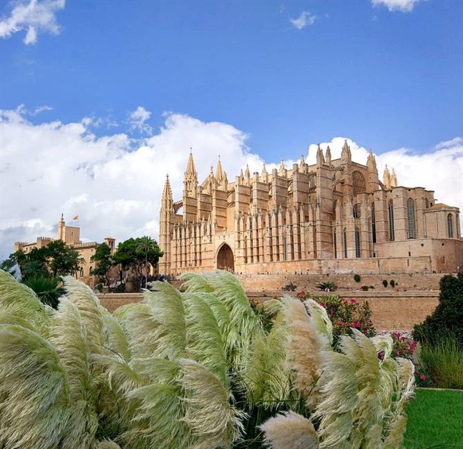 Catedral de Palma de Mallorca de día
