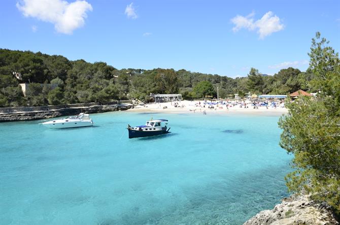 Parque Natural de Mondrag, Maiorca