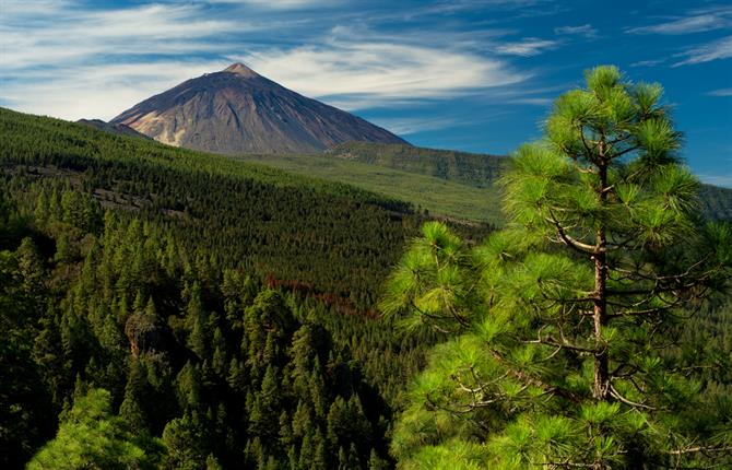 Parque Nacional del Teide