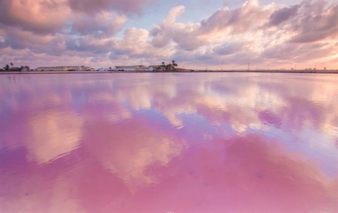 Salinas de San Pedro del Pinatar, aguas de color rosa