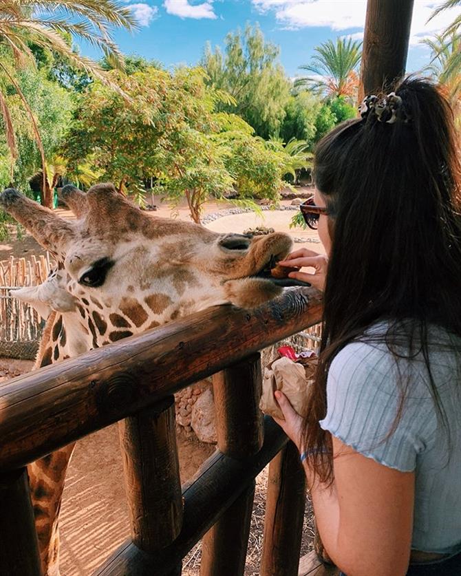 Oasis Park på Fuerteventura