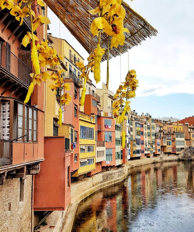 Temps de Flors, Girona