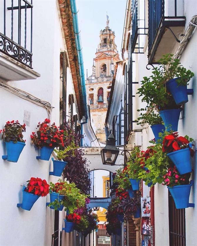 Calles de Córdoba ciudad