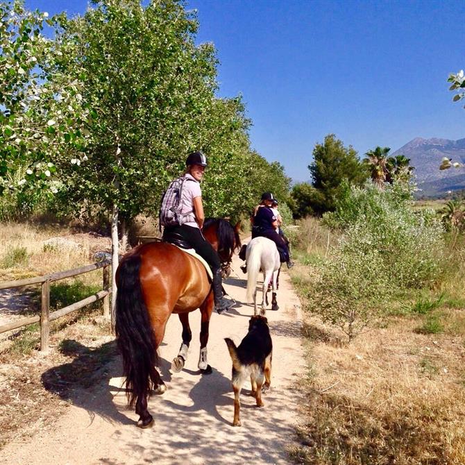 Paardrijden op het platteland van Benidorm