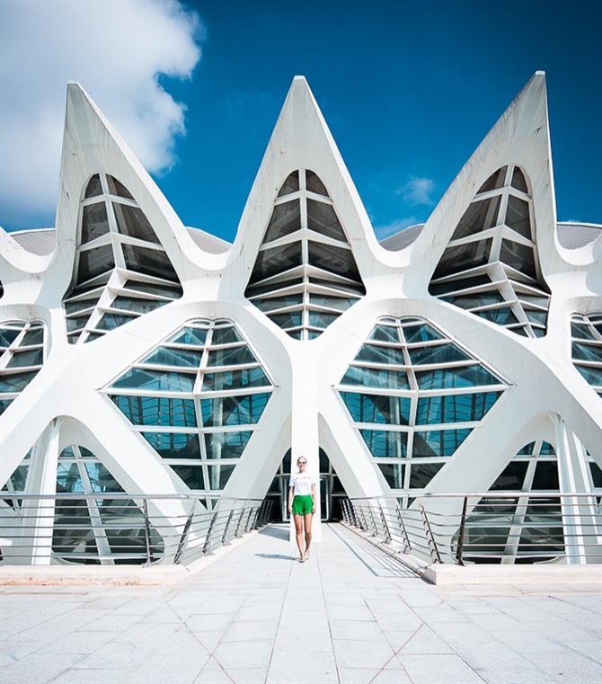 Ciudad de las Artes y las Ciencias (kunst og videnskabsby) i Valencia