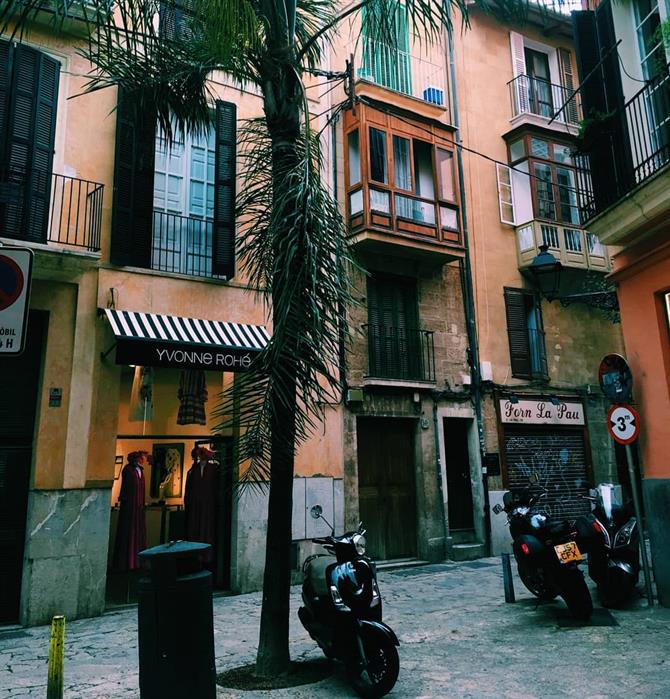 Street in Palma in Mallorca