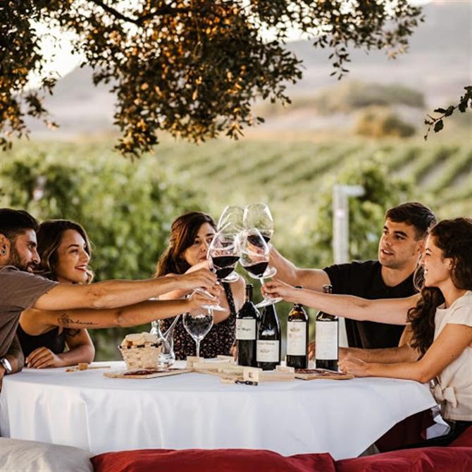 Ett sällskap på 5 skålar under en vinprovning utomhus i La Rioja
