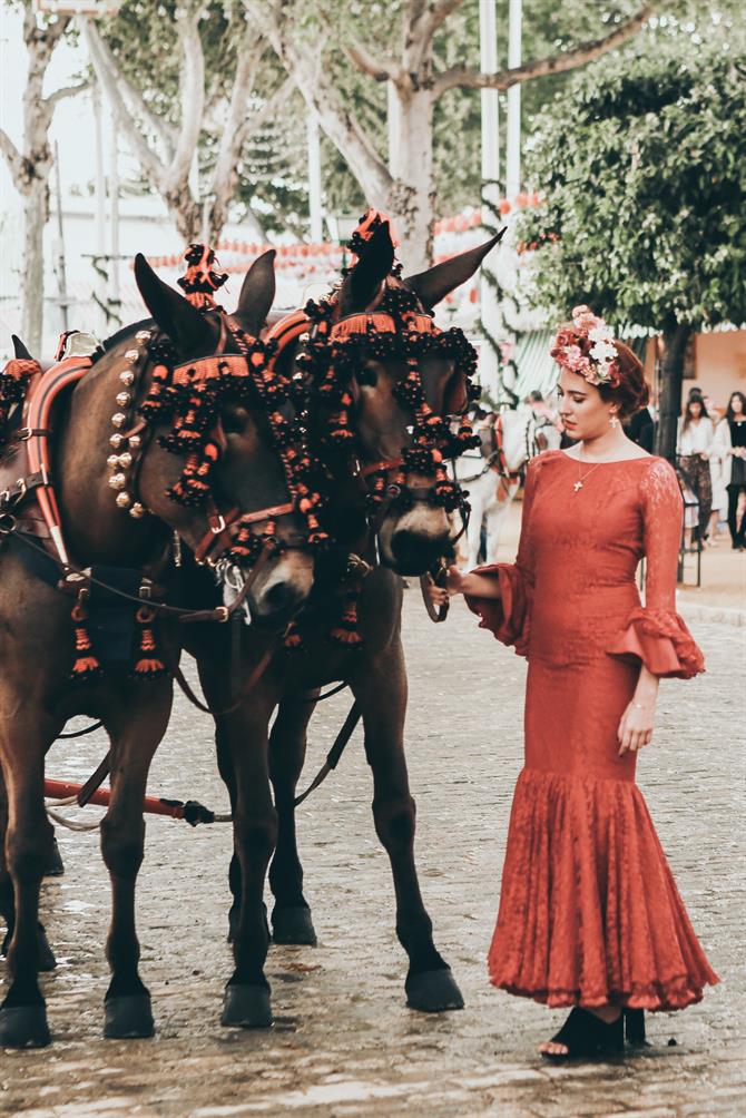 Andalusian horse, Seville