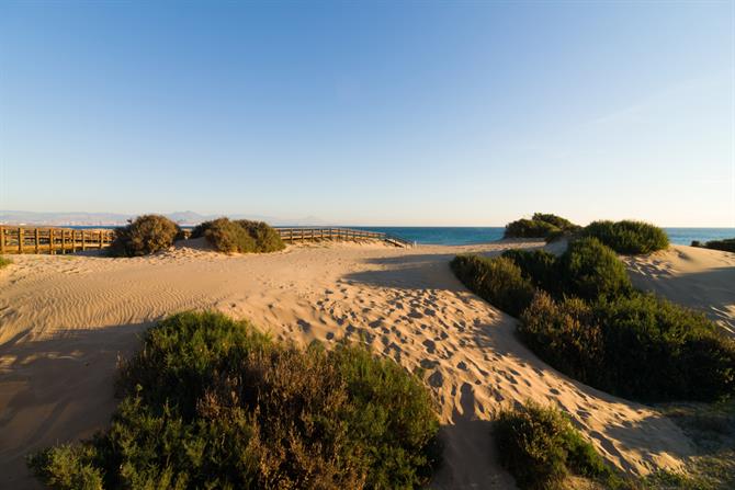 Costa Blanca - Sanddyner ved stranden