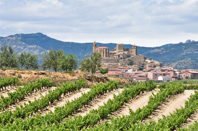 Vingården San Vicente de la Sonsierra - La Rioja