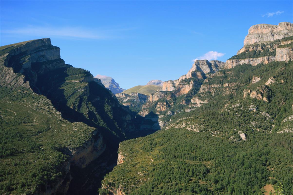 Top 10 Spanish Forests