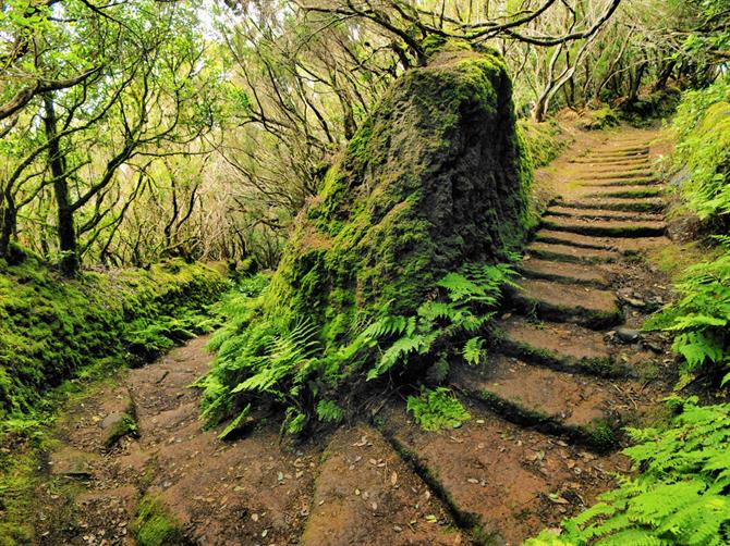 Anaga-Gebirge, Tenerife, Isole Canarie