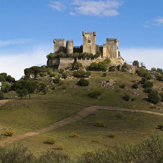 Castillo de Almodovar del Rio, Cordoue - Andalousie (Espagne)