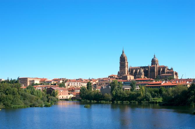 Salamanca Cathedral and Tormes river