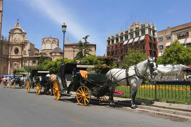 Pferdekutschen warten in Valencia