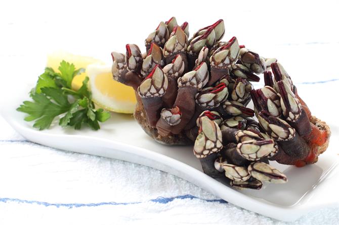 Percebes 