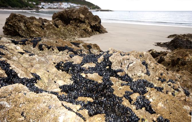 Estaca de Bares, Galicia