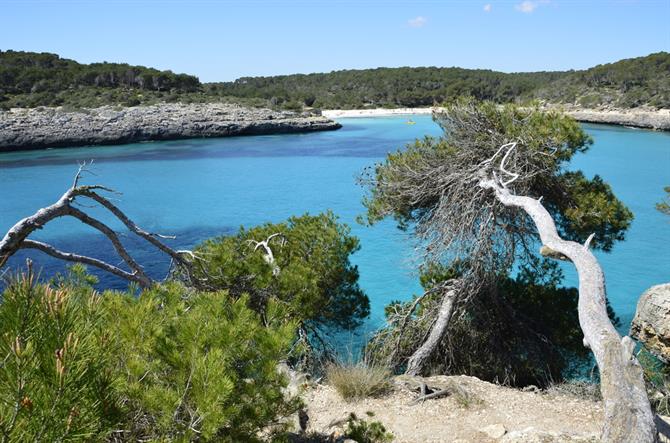 Parco Naturale di Mondragò, Maiorca