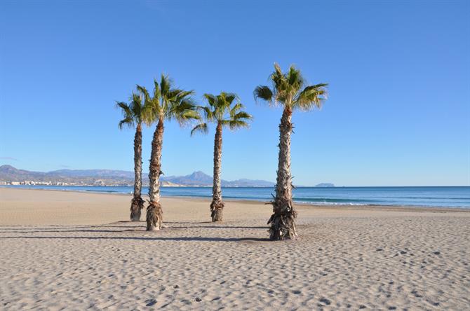 Playa San Juan, Alicante - Costa Blanca (Spanien)