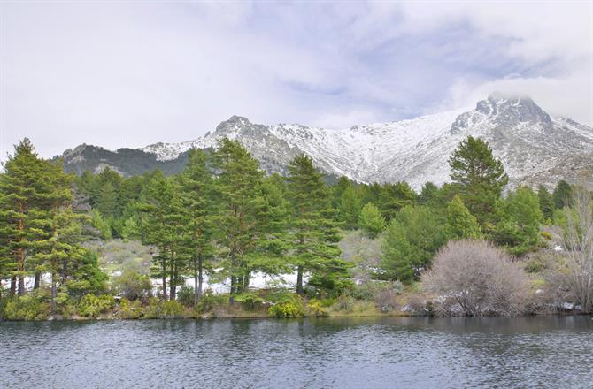 Navacerrada, Madrid