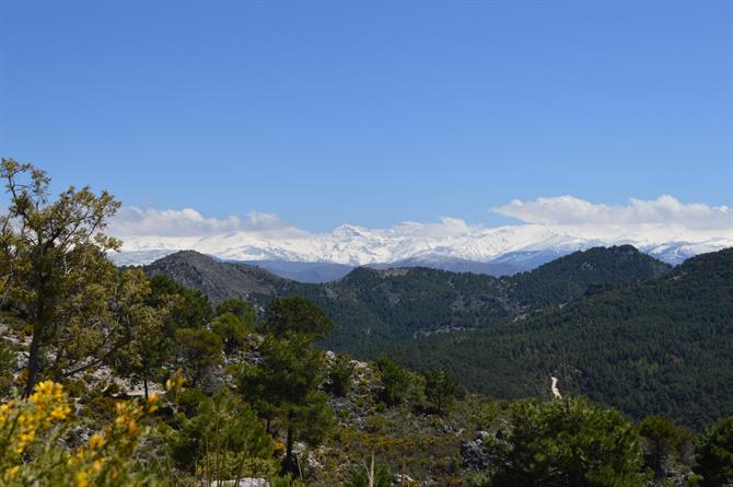 Sierra de Huetor Naturpark, Granada