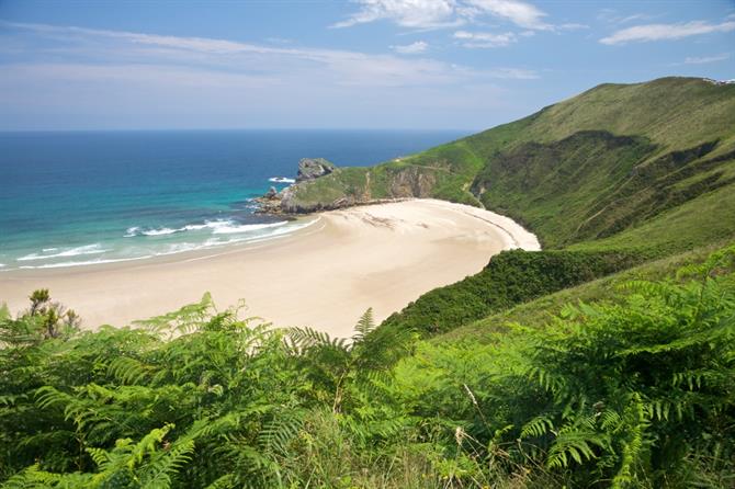 Torimbia près du village de Llanes dans les Asturies (Espagne)